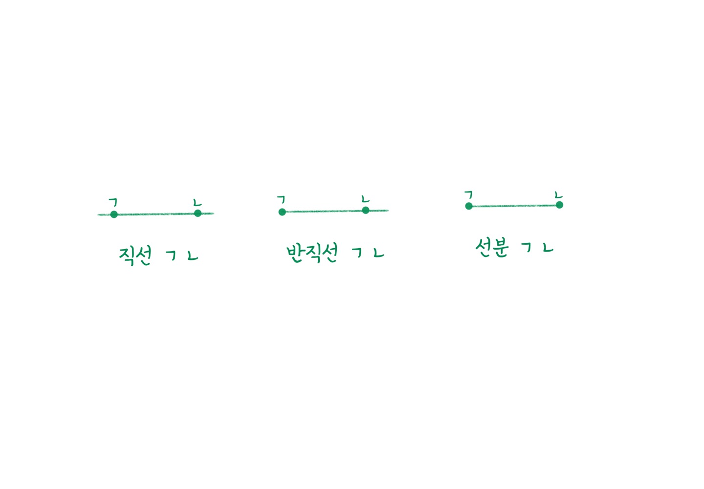 반직선, 직선, 선분 비교