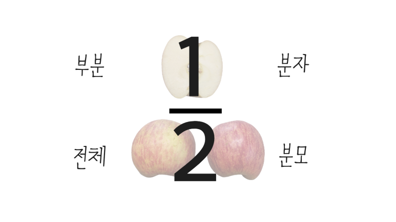 전체와 부분 개념 2