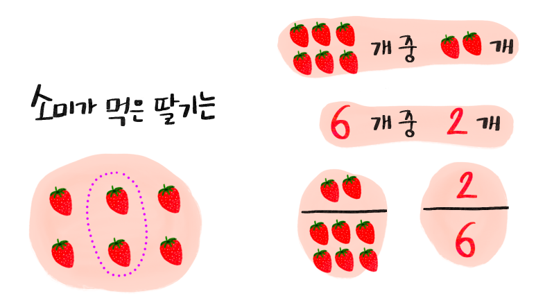 딸기 한 팩 분수 표현